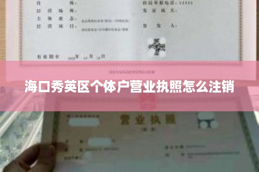 海口秀英区个体户营业执照怎么注销