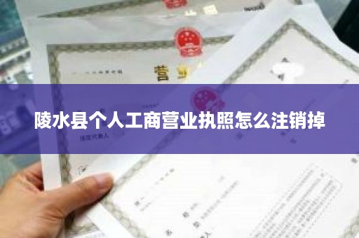陵水县个人工商营业执照怎么注销掉