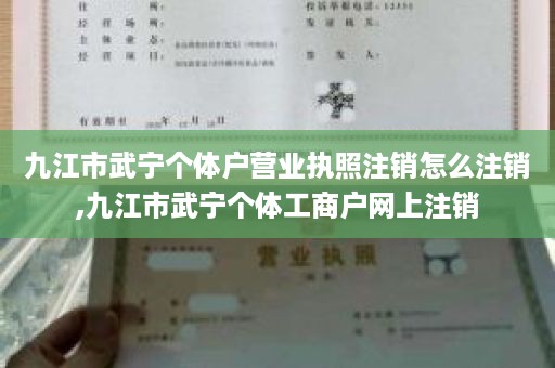 九江市武宁个体户营业执照注销怎么注销,九江市武宁个体工商户网上注销