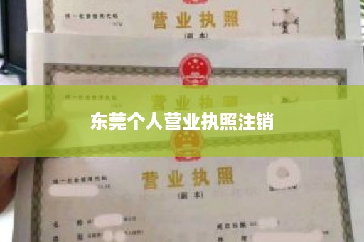 东莞个人营业执照注销