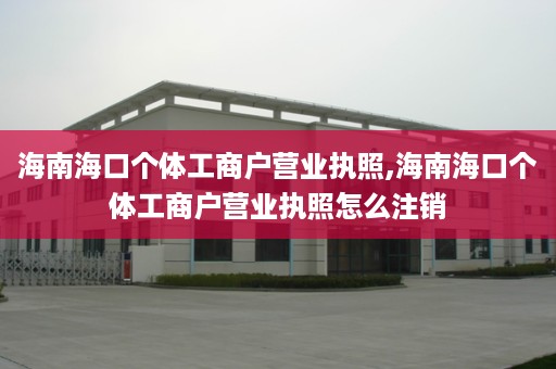 海南海口个体工商户营业执照,海南海口个体工商户营业执照怎么注销
