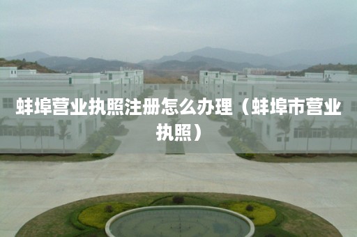 蚌埠营业执照注册怎么办理（蚌埠市营业执照）