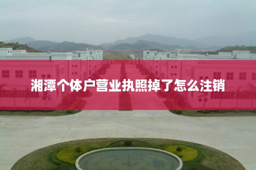 湘潭个体户营业执照掉了怎么注销