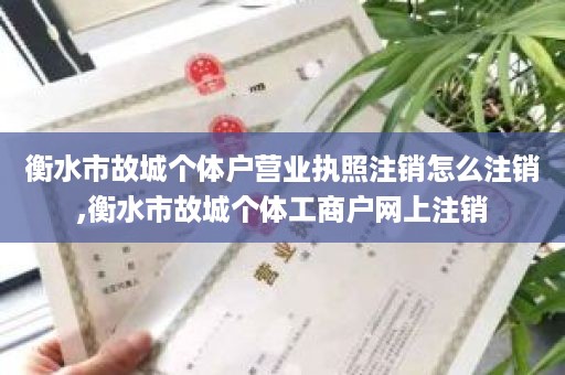 衡水市故城个体户营业执照注销怎么注销,衡水市故城个体工商户网上注销