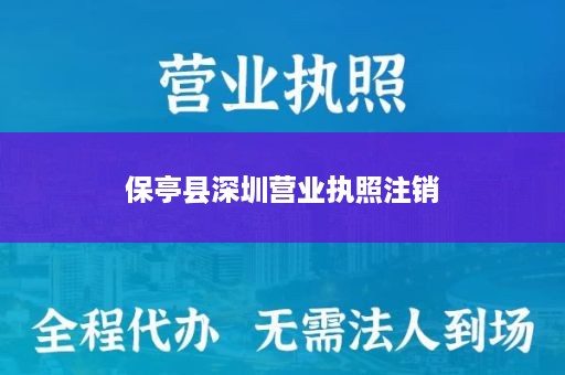 保亭县深圳营业执照注销