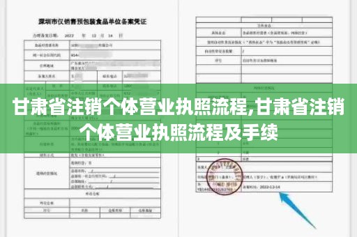 甘肃省注销个体营业执照流程,甘肃省注销个体营业执照流程及手续