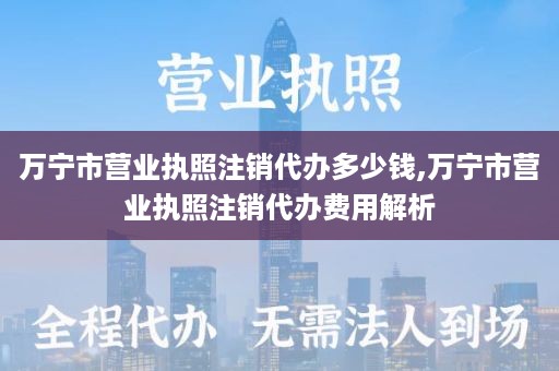 万宁市营业执照注销代办多少钱,万宁市营业执照注销代办费用解析
