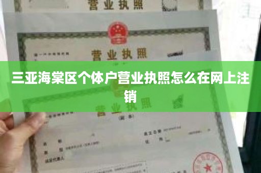 三亚海棠区个体户营业执照怎么在网上注销