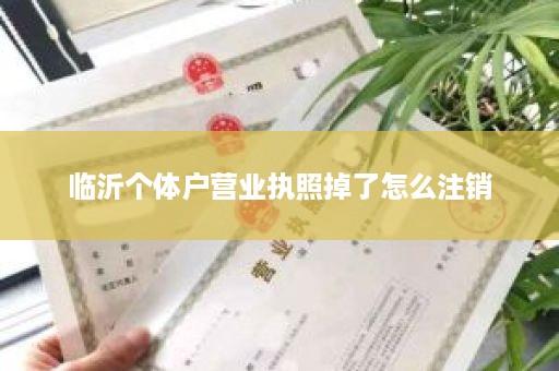临沂个体户营业执照掉了怎么注销