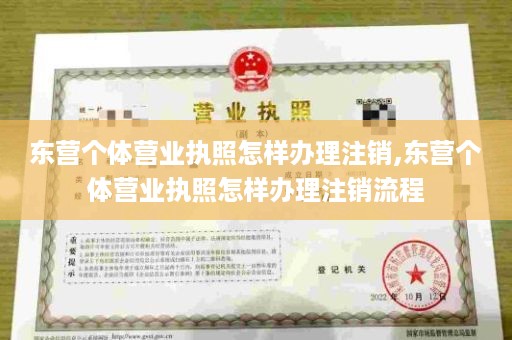 东营个体营业执照怎样办理注销,东营个体营业执照怎样办理注销流程