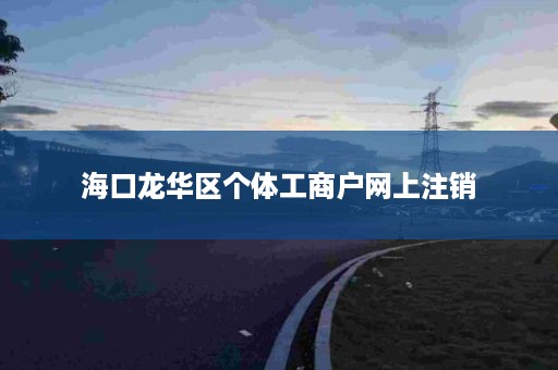 海口龙华区个体工商户网上注销
