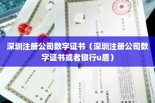深圳注册公司数字证书（深圳注册公司数字证书或者银行u盾）