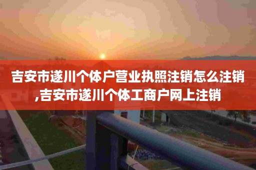 吉安市遂川个体户营业执照注销怎么注销,吉安市遂川个体工商户网上注销