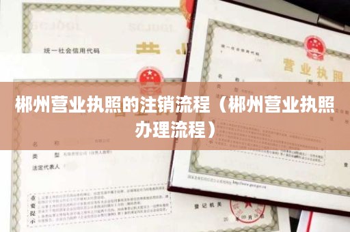 郴州营业执照的注销流程（郴州营业执照办理流程）