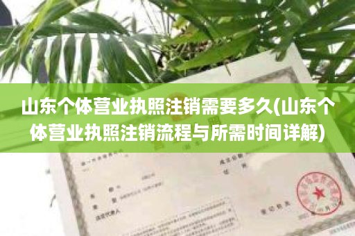 山东个体营业执照注销需要多久(山东个体营业执照注销流程与所需时间详解)