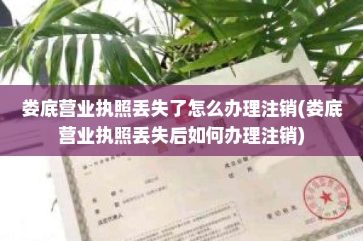 娄底营业执照丢失了怎么办理注销(娄底营业执照丢失后如何办理注销)