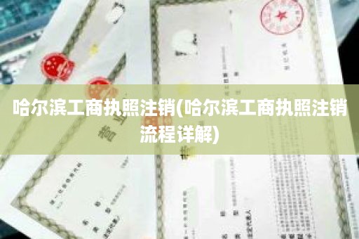 哈尔滨工商执照注销(哈尔滨工商执照注销流程详解)