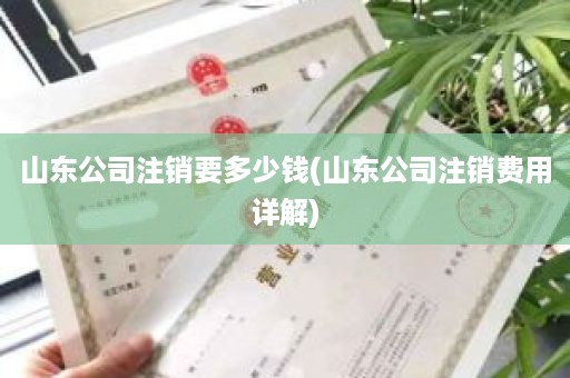 山东公司注销要多少钱(山东公司注销费用详解)