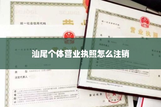 汕尾个体营业执照怎么注销