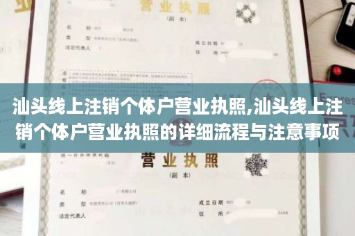 汕头线上注销个体户营业执照,汕头线上注销个体户营业执照的详细流程与注意事项