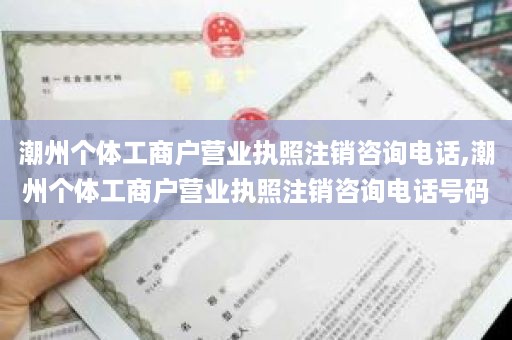 潮州个体工商户营业执照注销咨询电话,潮州个体工商户营业执照注销咨询电话号码