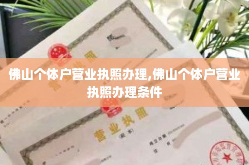 佛山个体户营业执照办理,佛山个体户营业执照办理条件