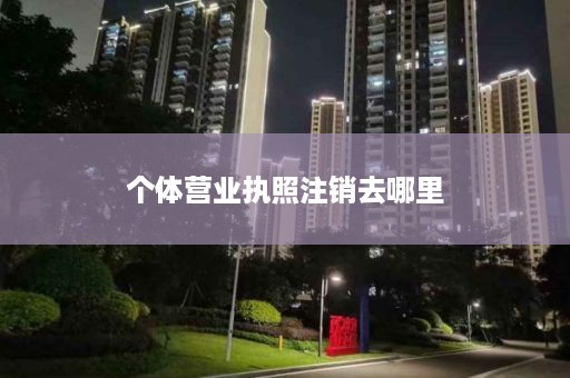 个体营业执照注销去哪里