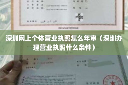 深圳网上个体营业执照怎么年审（深圳办理营业执照什么条件）