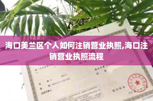 海口美兰区个人如何注销营业执照,海口注销营业执照流程