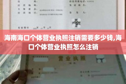 海南海口个体营业执照注销需要多少钱,海口个体营业执照怎么注销