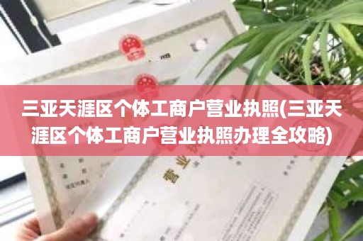三亚天涯区个体工商户营业执照(三亚天涯区个体工商户营业执照办理全攻略)