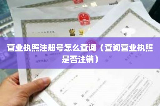 营业执照注册号怎么查询（查询营业执照是否注销）