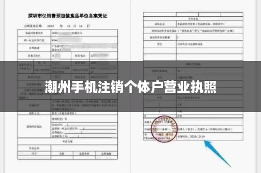 潮州手机注销个体户营业执照