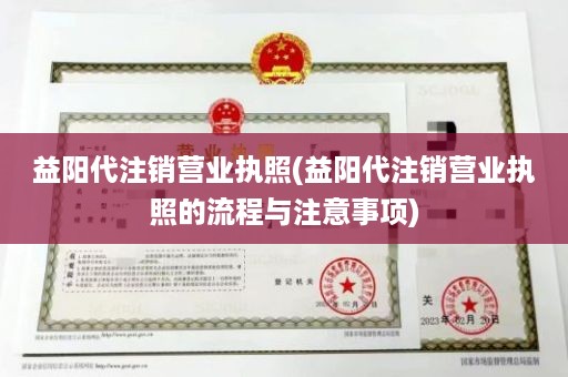 益阳代注销营业执照(益阳代注销营业执照的流程与注意事项)