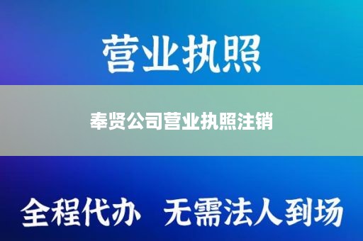 奉贤公司营业执照注销