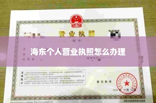 海东个人营业执照怎么办理