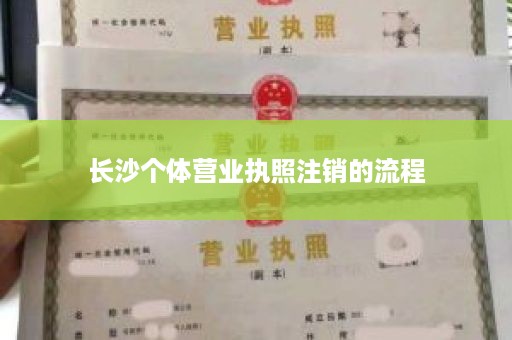长沙个体营业执照注销的流程