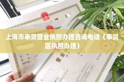 上海市奉贤营业执照办理咨询电话（奉贤区执照办理）