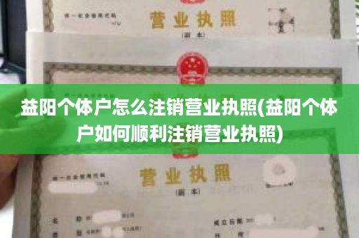 益阳个体户怎么注销营业执照(益阳个体户如何顺利注销营业执照)