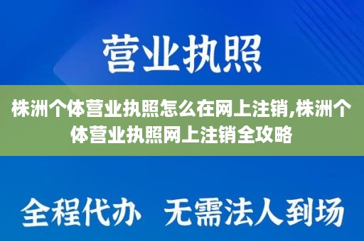 株洲个体营业执照怎么在网上注销,株洲个体营业执照网上注销全攻略