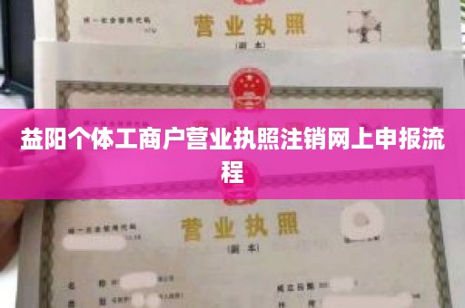 益阳个体工商户营业执照注销网上申报流程
