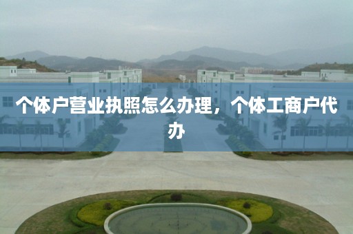 个体户营业执照怎么办理，个体工商户代办