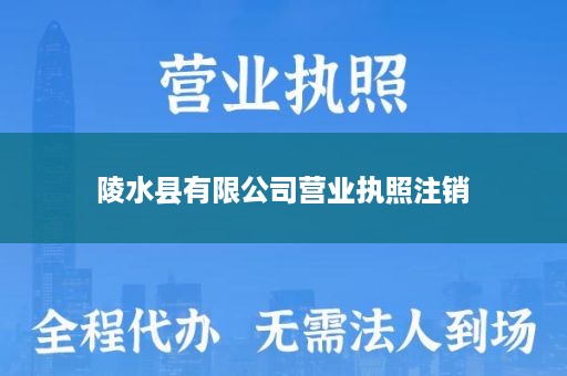 陵水县有限公司营业执照注销