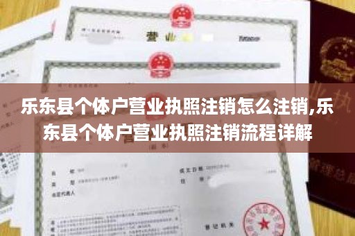 乐东县个体户营业执照注销怎么注销,乐东县个体户营业执照注销流程详解