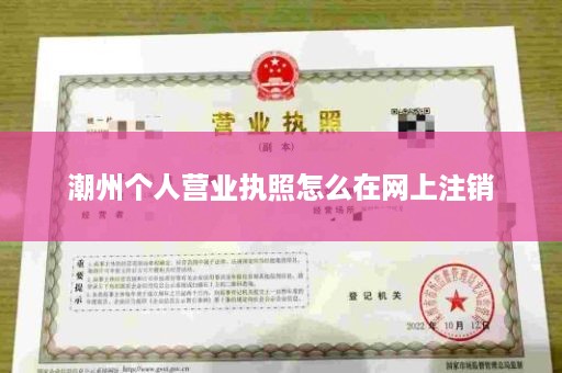 潮州个人营业执照怎么在网上注销