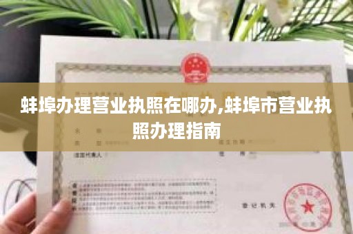 蚌埠办理营业执照在哪办,蚌埠市营业执照办理指南