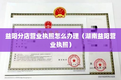 益阳分店营业执照怎么办理（湖南益阳营业执照）