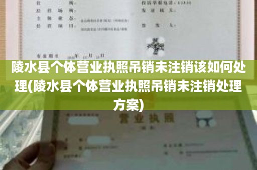 陵水县个体营业执照吊销未注销该如何处理(陵水县个体营业执照吊销未注销处理方案)