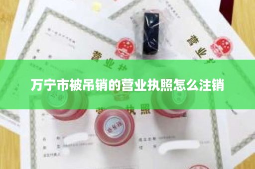 万宁市被吊销的营业执照怎么注销