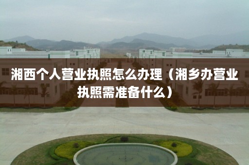 湘西个人营业执照怎么办理（湘乡办营业执照需准备什么）